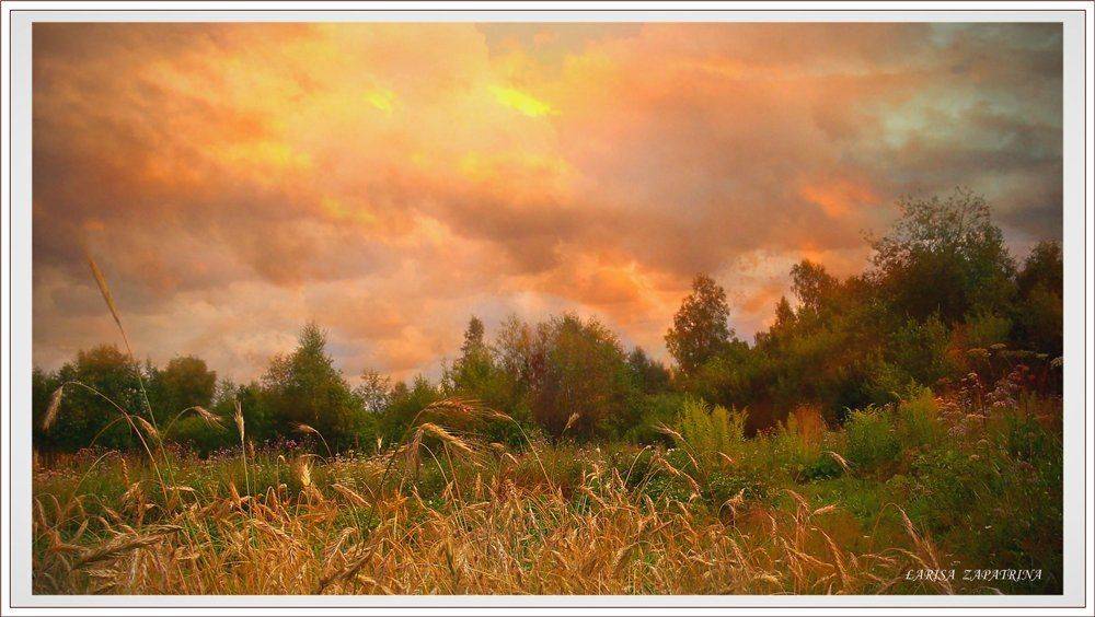 , Лариса Запатрина