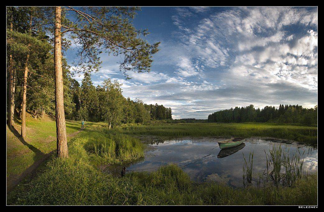 оредеж, seleznev