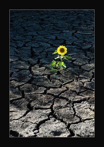 Возрождение