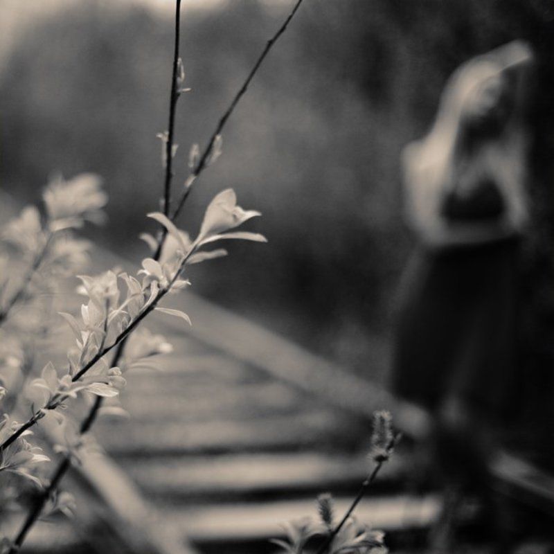 tender daydreams фото превью