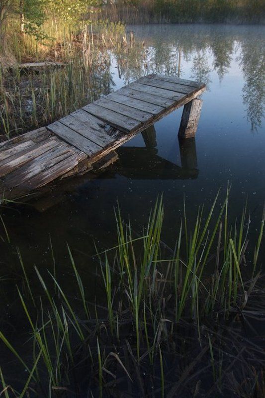 Пруд фото превью