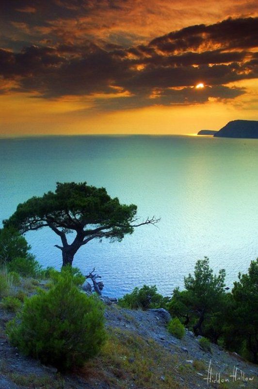 Cyan Sea фото превью