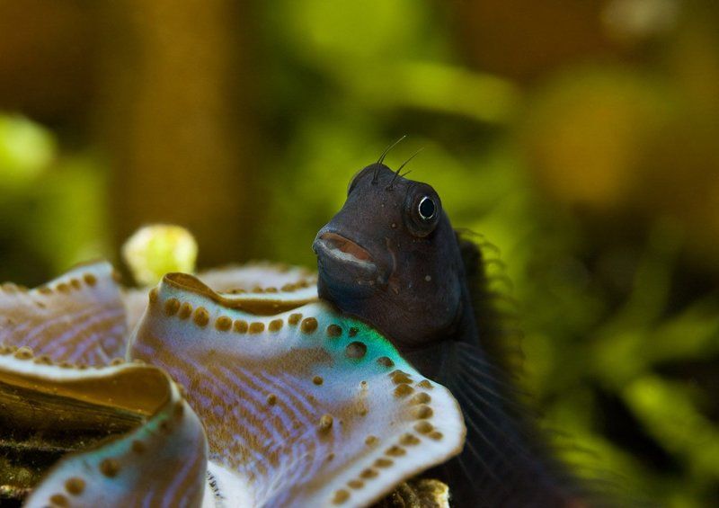 Отдыхаю я тут... фото превью