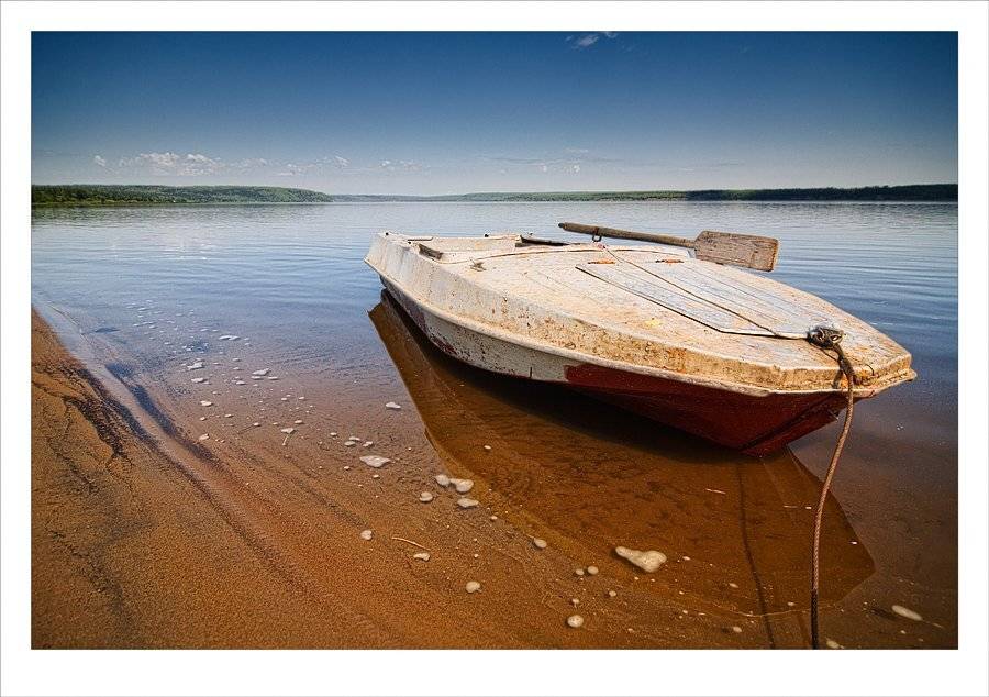 , Роман Быков