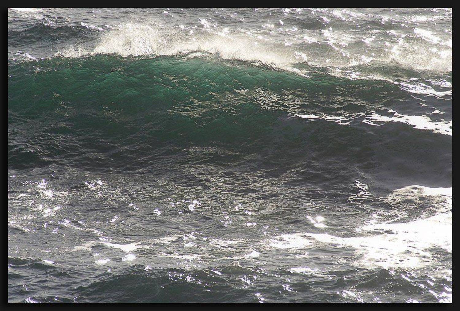 , Alexandre Michourovskii