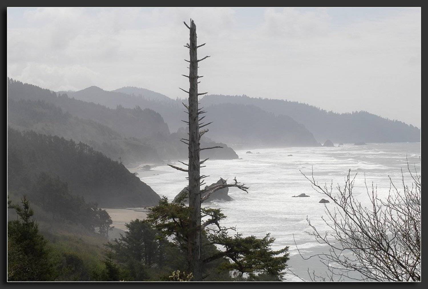 , Alexandre Michourovskii