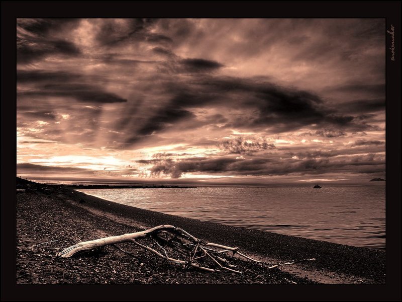 Литораль фото превью