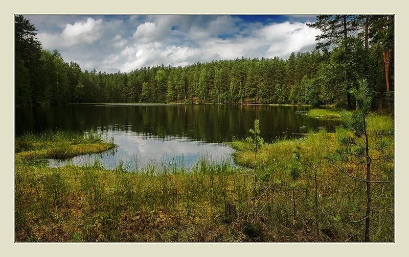 ****** фото превью