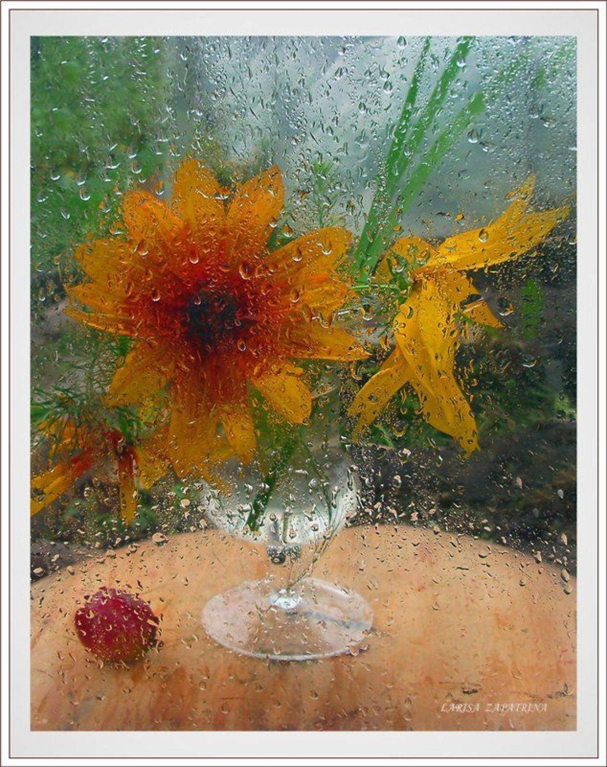 , Лариса Запатрина