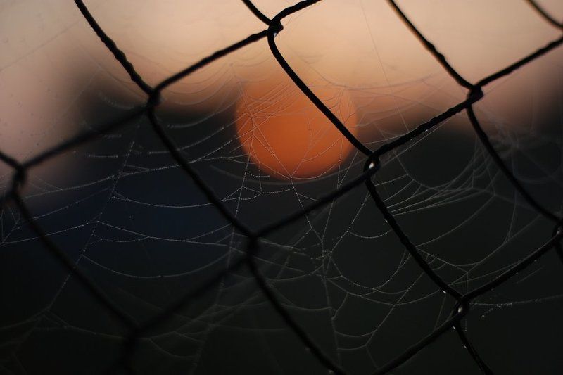 Краденое солнце фото превью