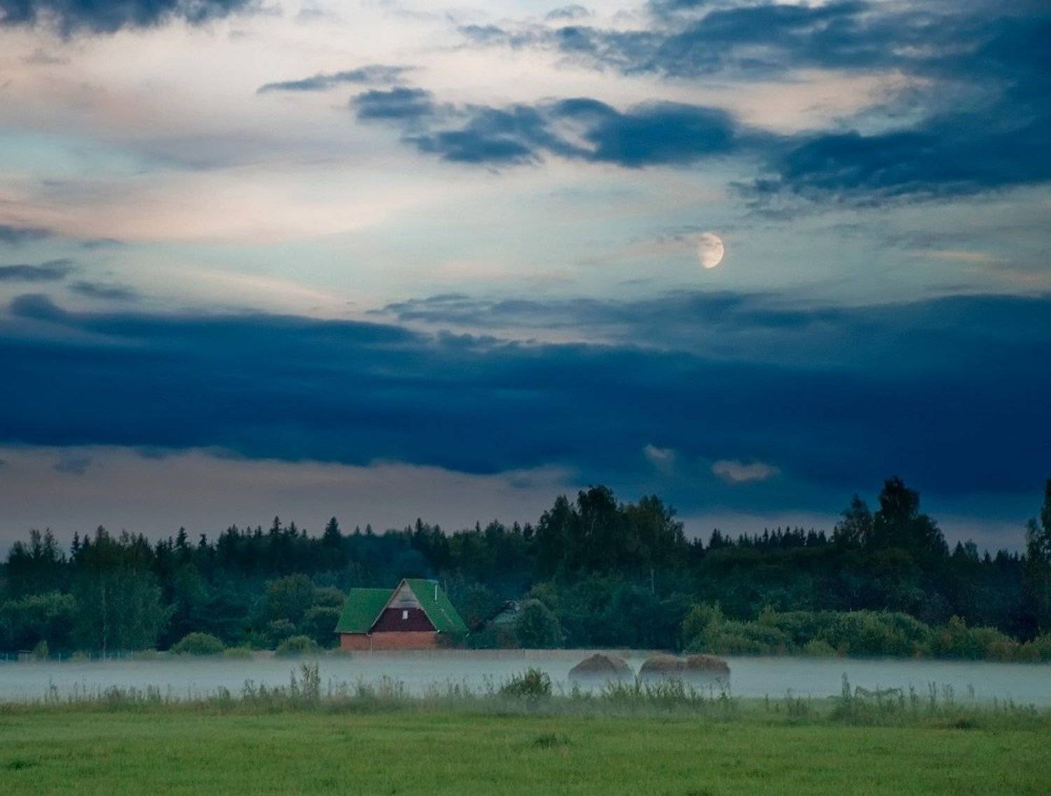 , Дмитрий Милосердов