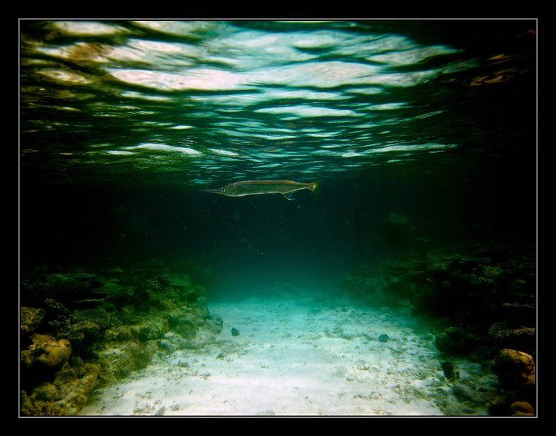 Дозор фото превью