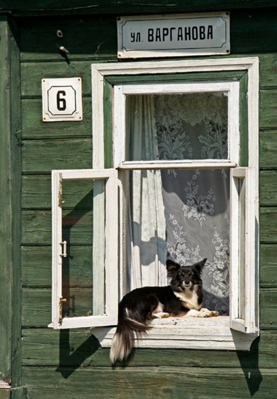 г.суздаль. Хозяин фото превью