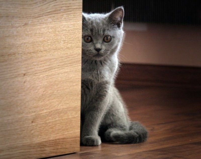 Доброе утро! фото превью