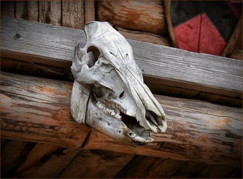 Страшная сказка про Белого бычка