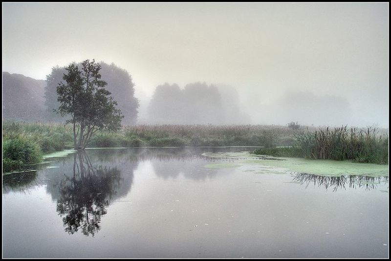 Август. Утро. фото превью