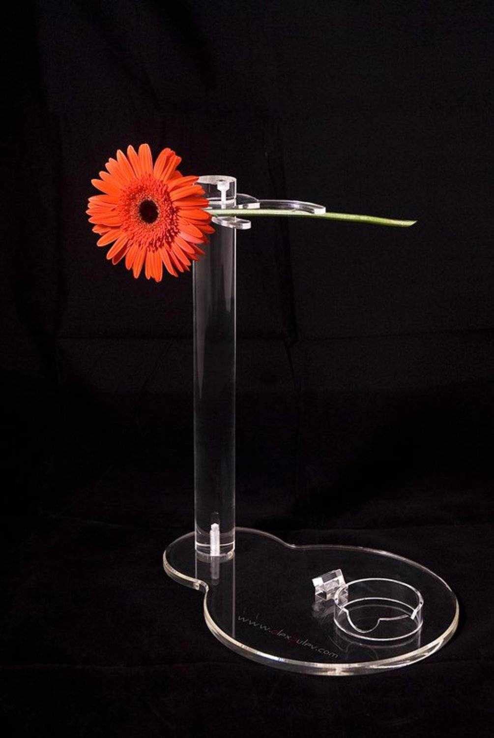 предметка,натюрморт,сток,арт,цветок,гербера,www.alexputev.com, Александр Путев