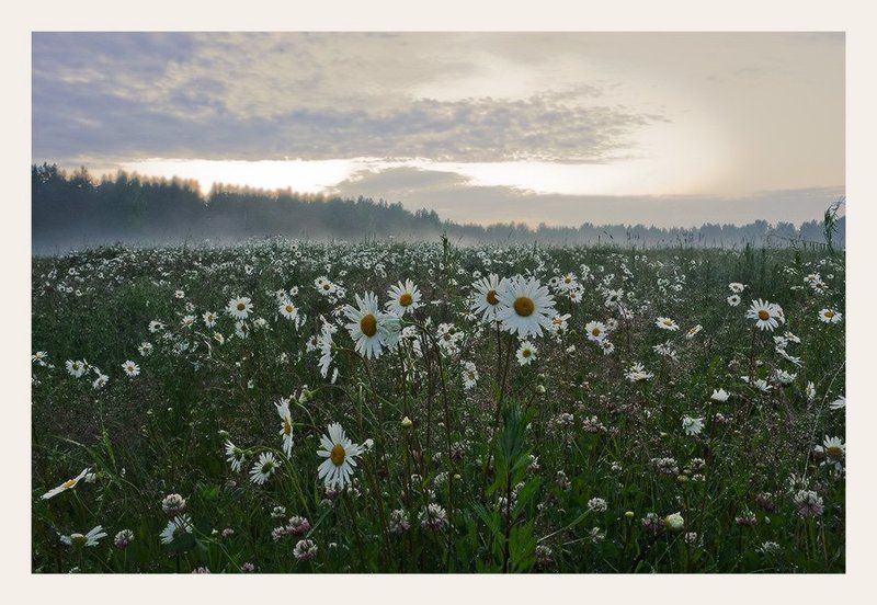 ********* фото превью