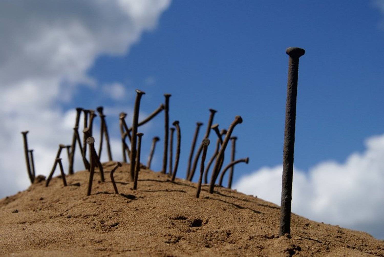 , Патрикеев Александр