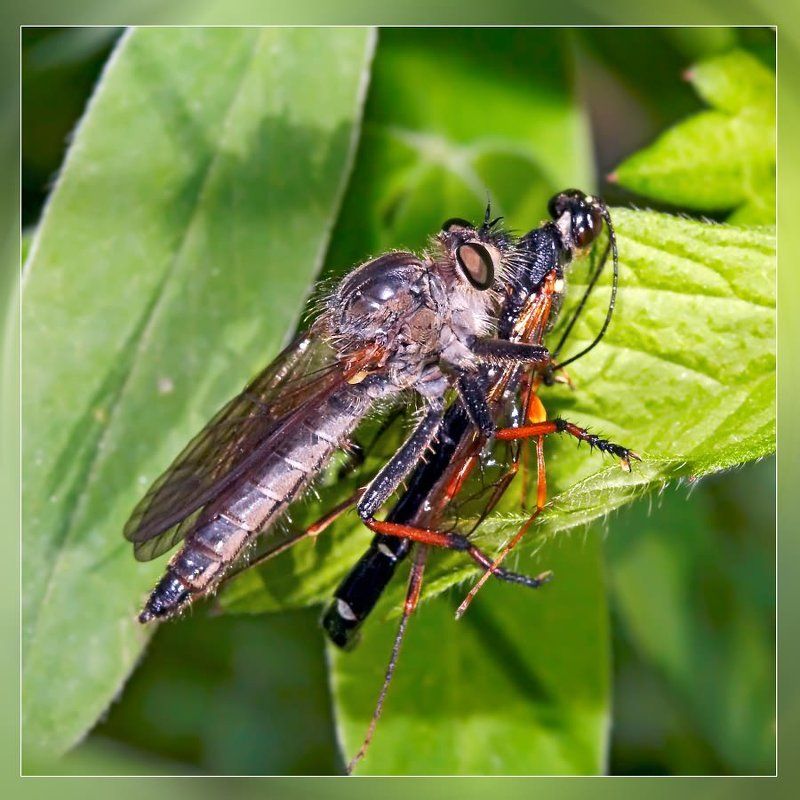 Вряд ли это любовь... фото превью