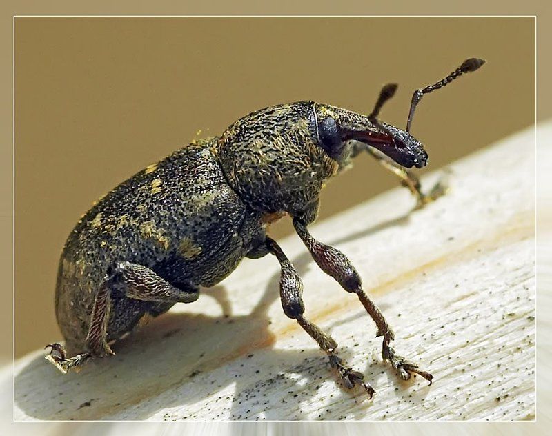 Отойду, и погляжу - хорошо ли Я сижу?.. фото превью