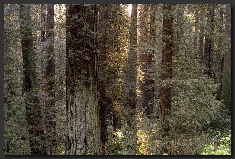 Высоко сижу, далеко... нет, далеко не видно фото превью