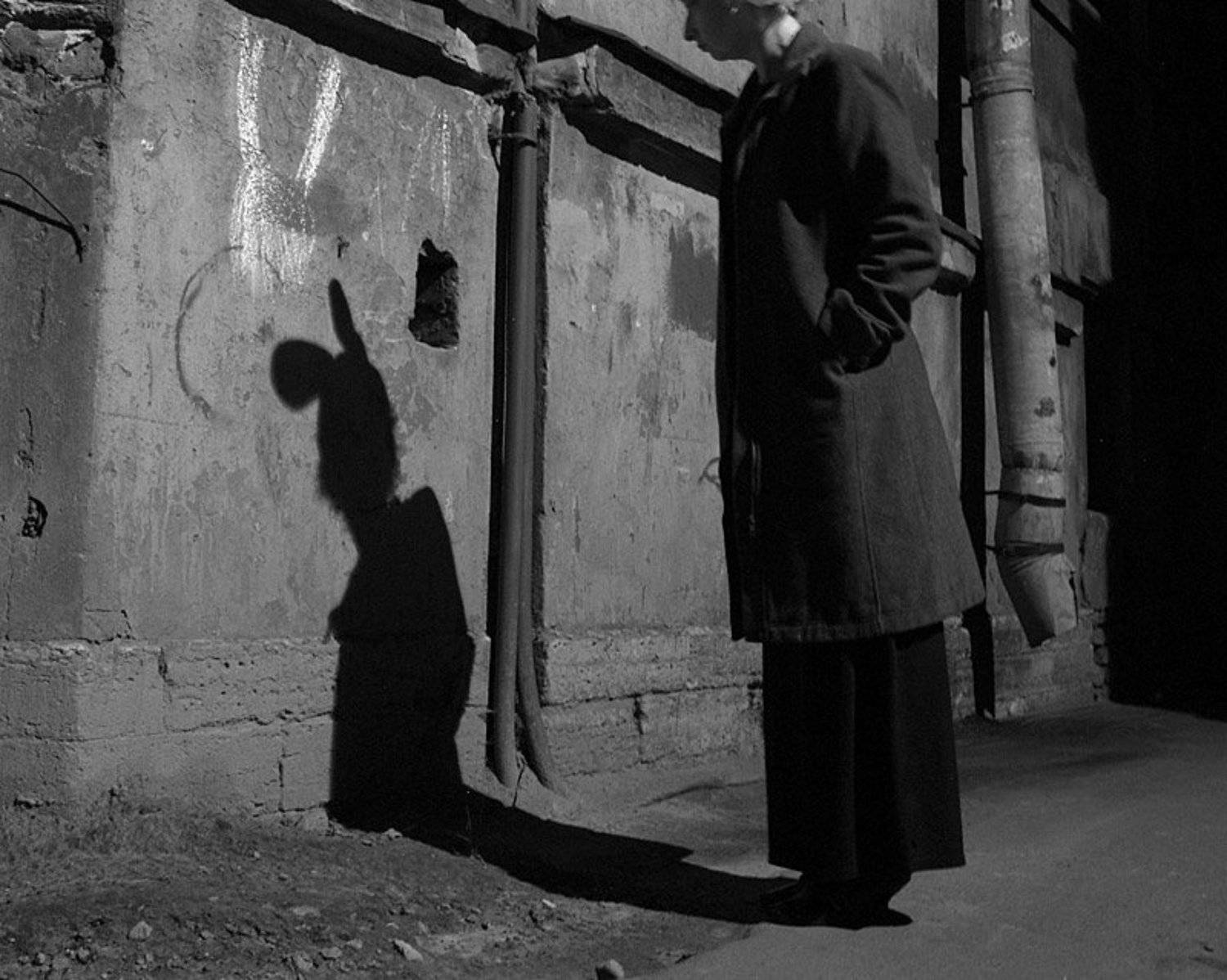 , Кристина Шин