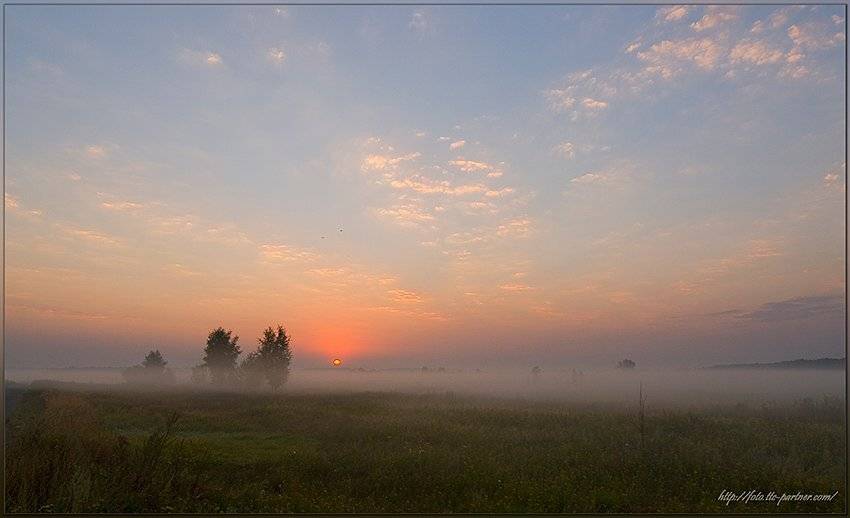 август, рассвет, Partner