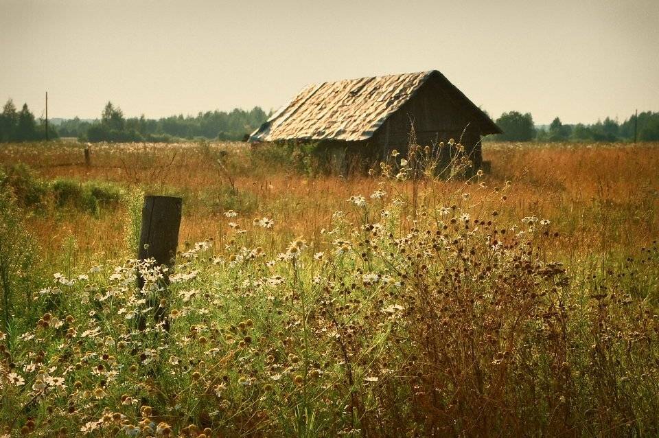 , Владимир Липецких