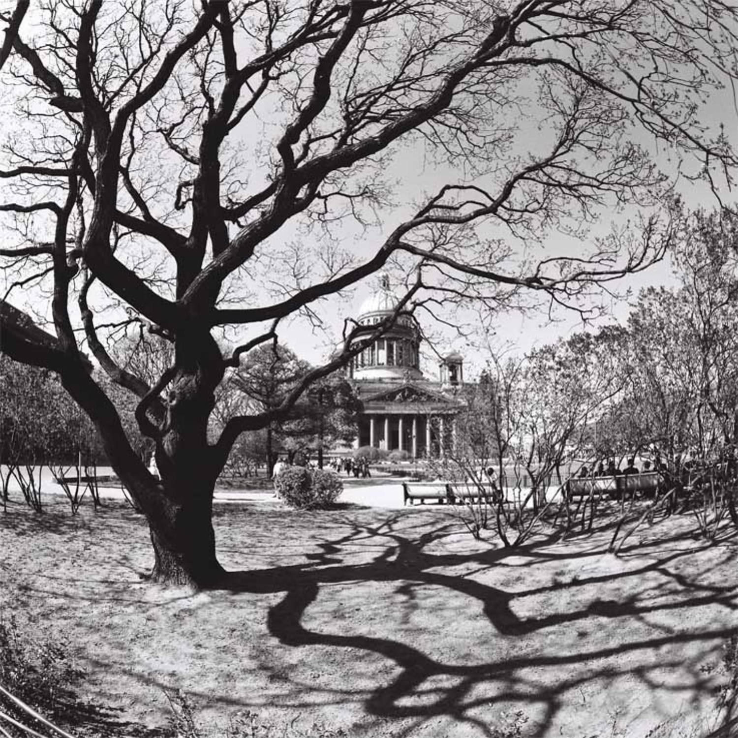 6х6,фотоплёнка,негатив, ч\б, Sergey Tarba