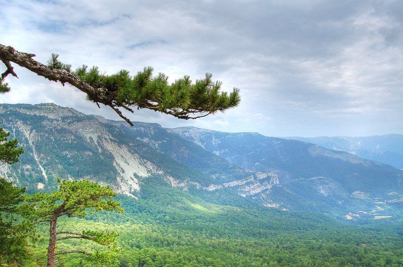 Горное лето фото превью