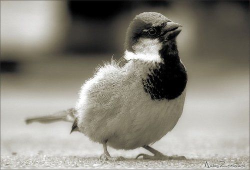 А что, если я не соглашусь??