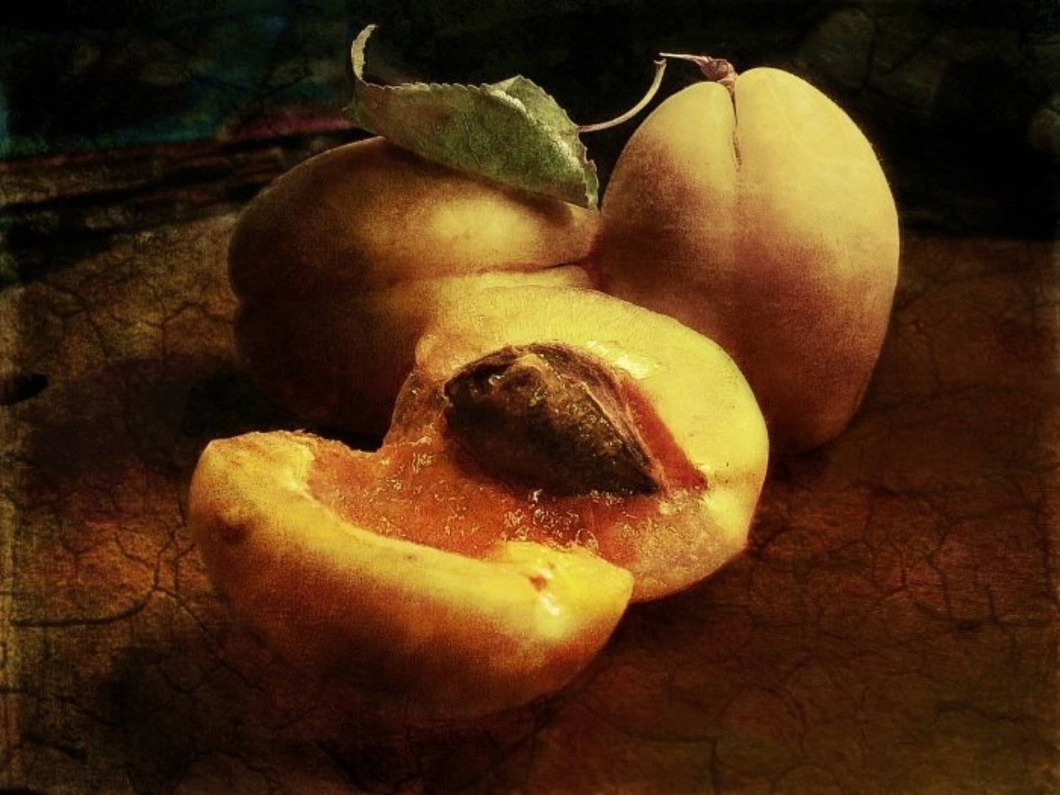 art photo натюрморт абрикос фото, Sema