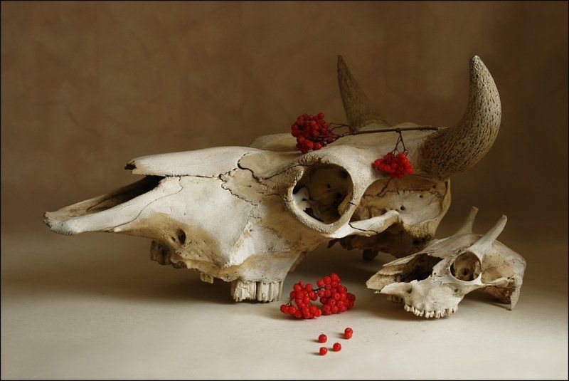 прогулка фото превью