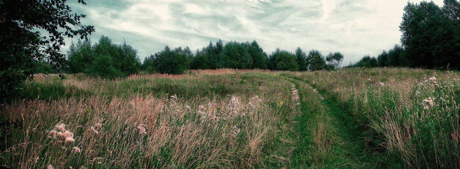 , Наталья Захарова