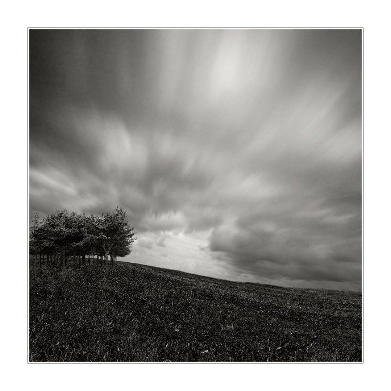 Hill top trees фото превью