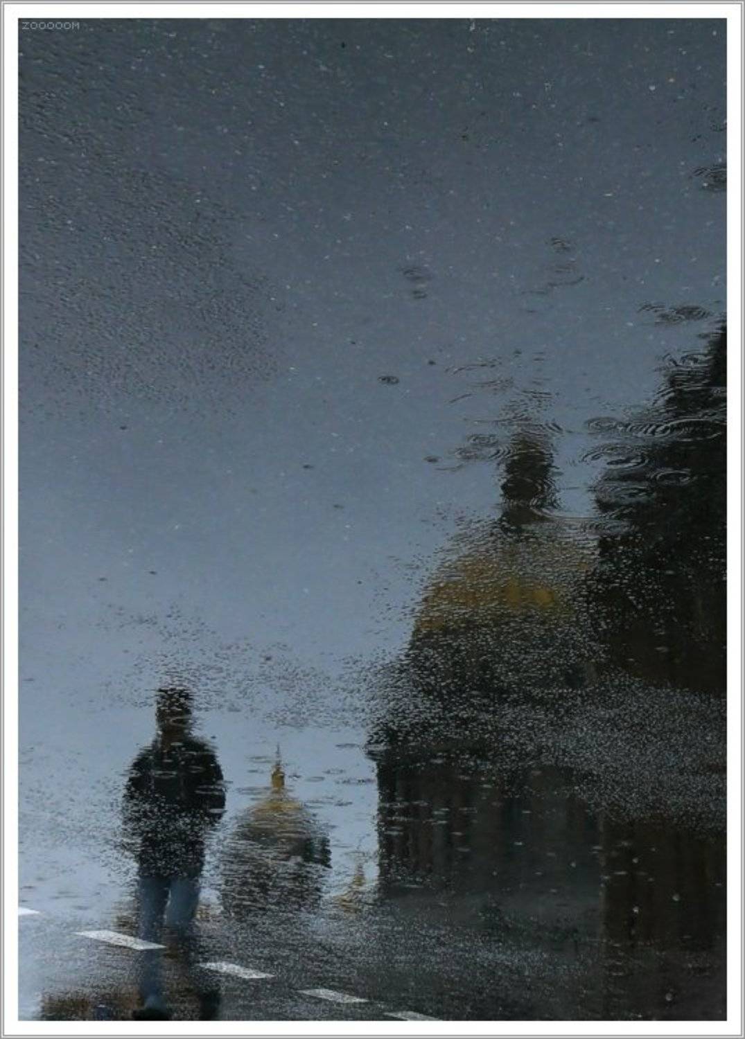 петербург,дождь, Алексей (zooooom)