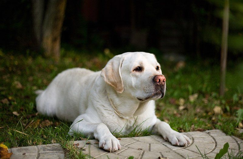 Друг фото превью