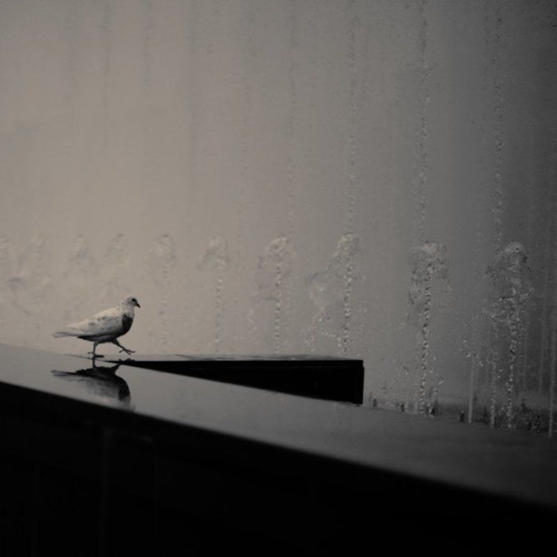 нафигключевыеслова ..... фото превью