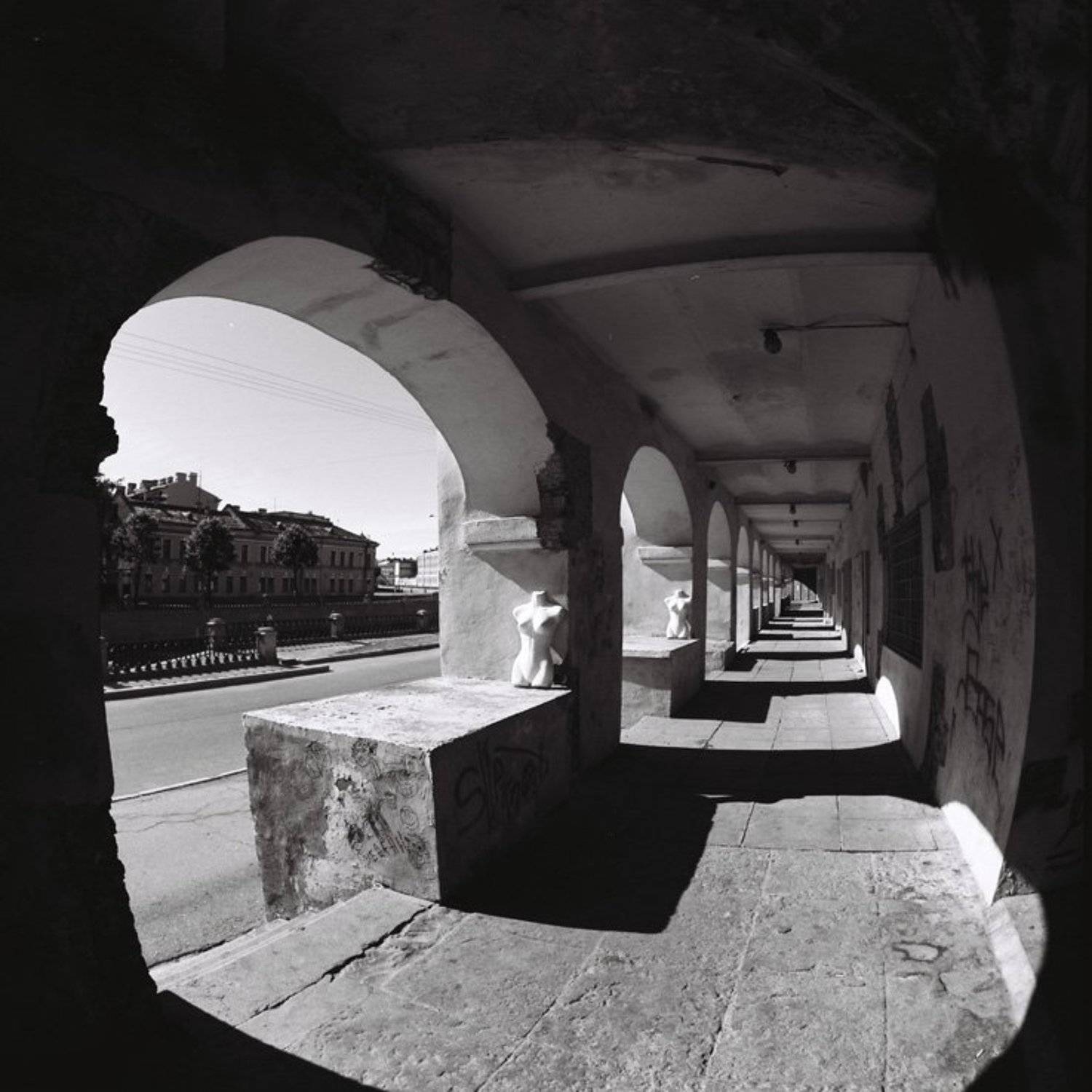 6х6,фотоплёнка,негатив, Sergey Tarba