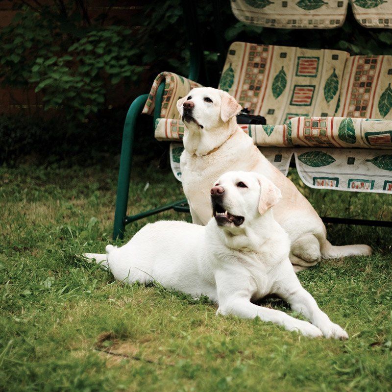 Друзья фото превью