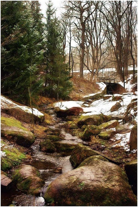 пейзаж, природа, река Ручей фото превью