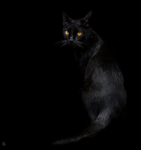 Black. Dark. Alone