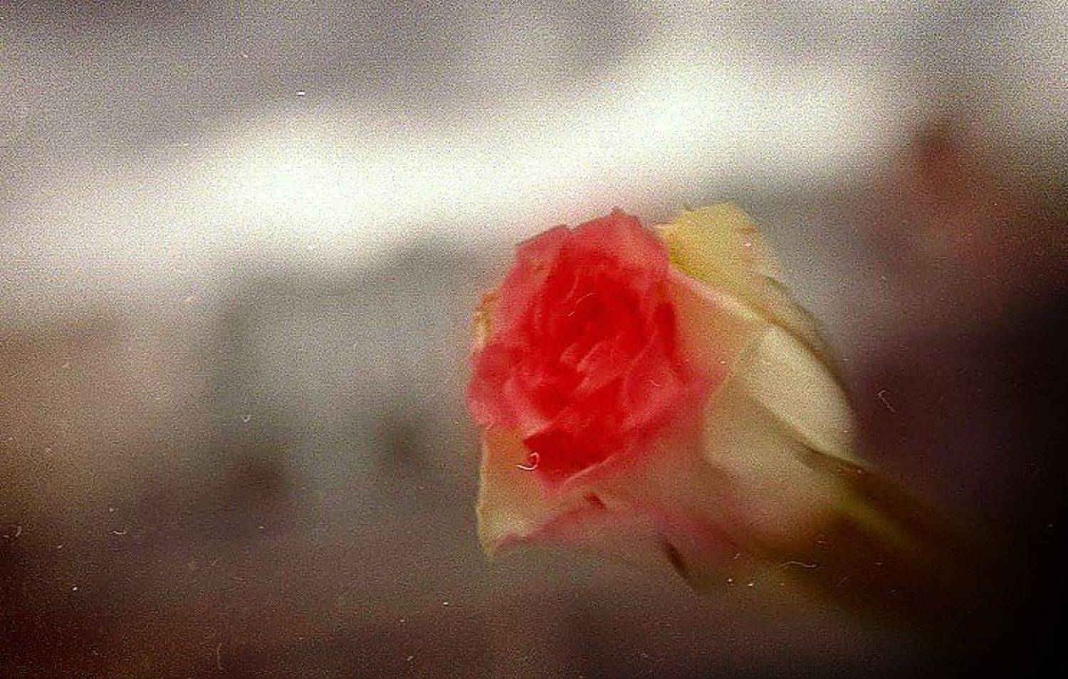 свадебные фотки, Andrey Kezzyn