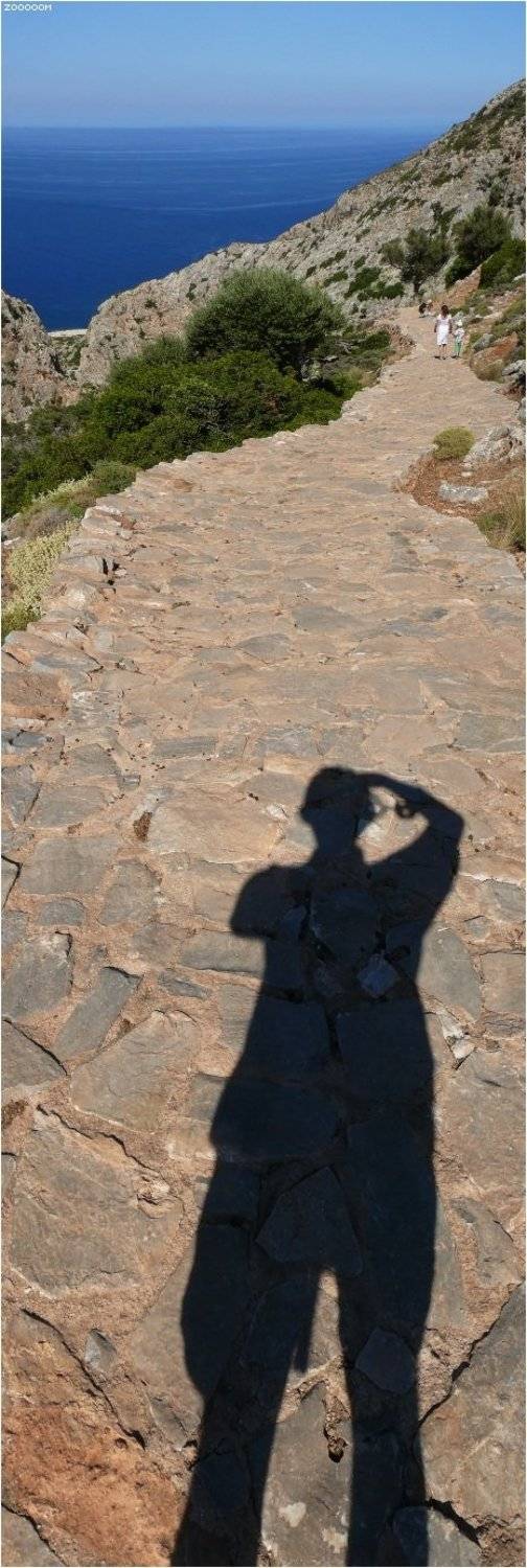 крит, Алексей (zooooom)