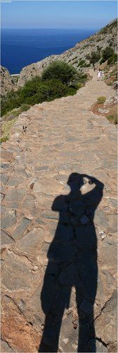 Тропинка к морю