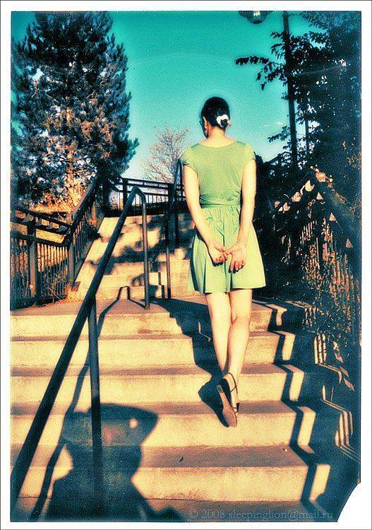 polaroid 669, pilgrim, polaroid 250, жанр, Pilgrim