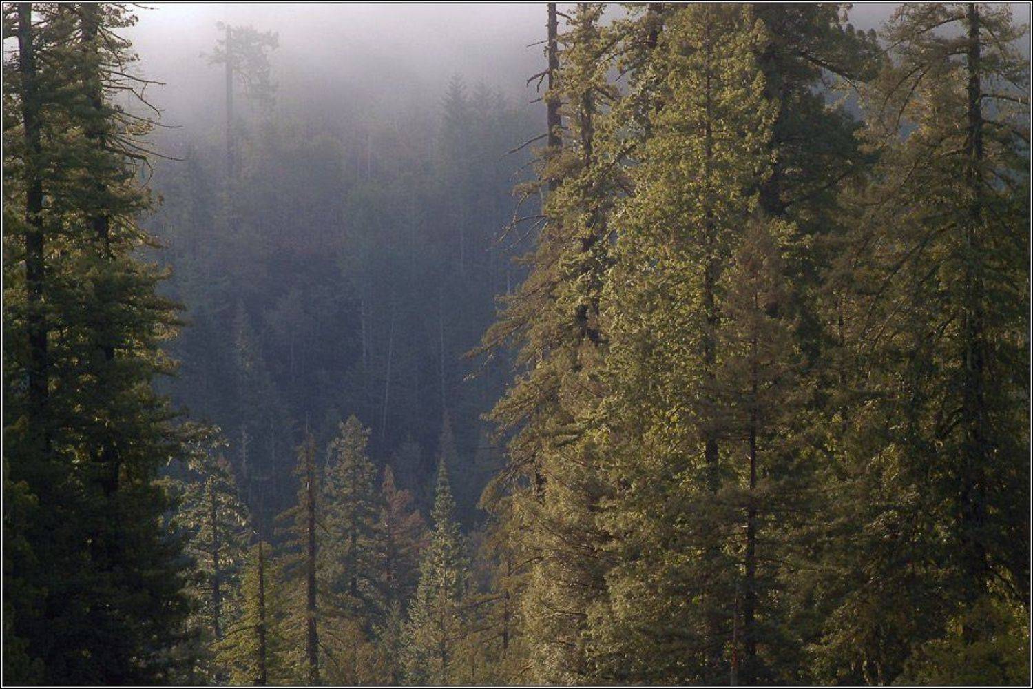 , Alexandre Michourovskii