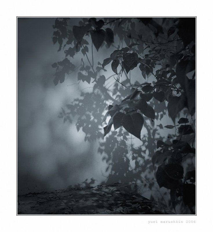 без названия фото превью