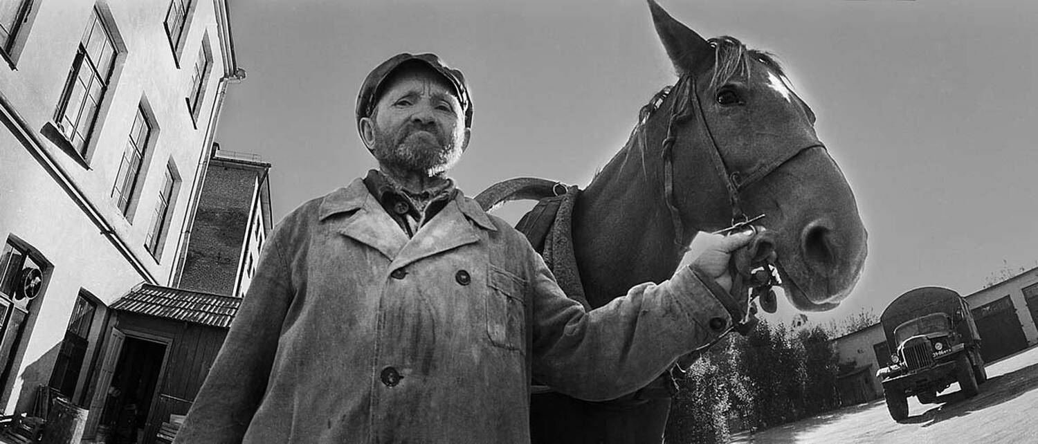 старик, кобыла, Vladimir BAZAN